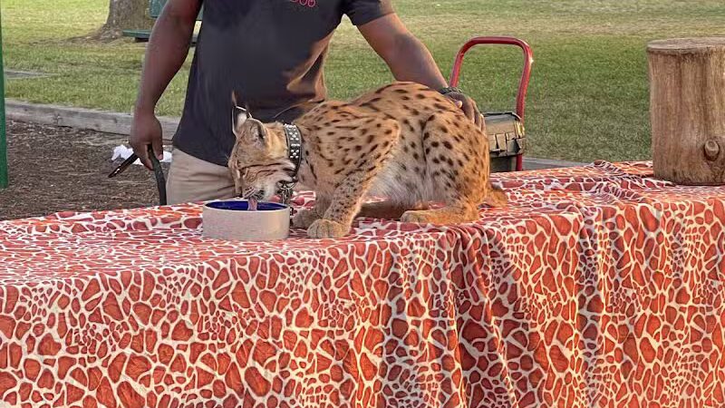 Central Park - Dearborn Heights,