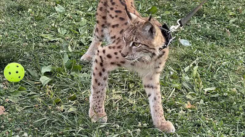 Central Park - Dearborn Heights,