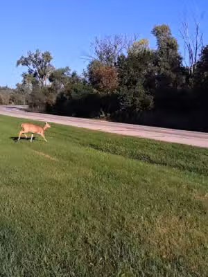 Parkland Recreation Area - Dearborn Heights,