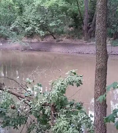 Parkland Park - Dearborn Heights,