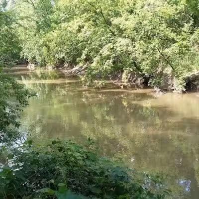 Parkland Park - Dearborn Heights,