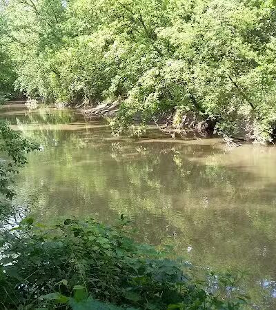 Parkland Park - Dearborn Heights,