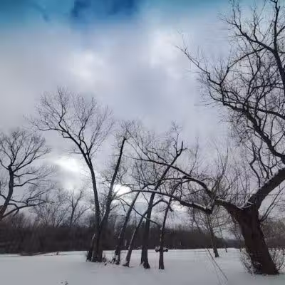 Parr Park - Dearborn Heights,