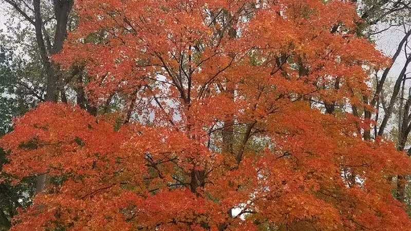 Parr Park - Dearborn Heights,