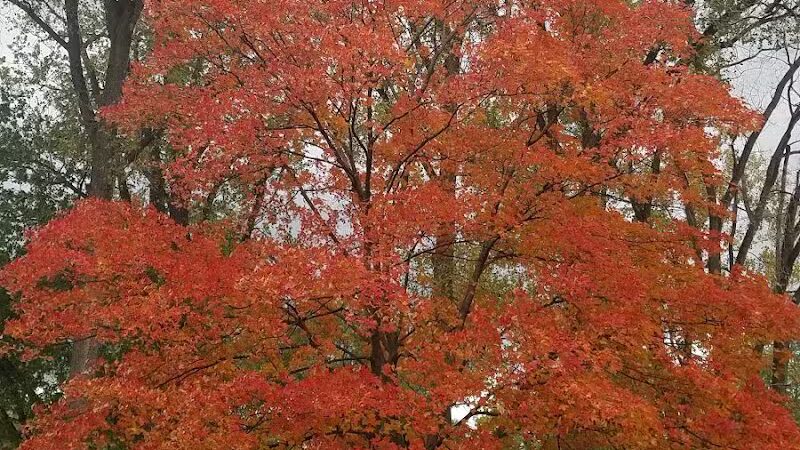 Parr Park - Dearborn Heights,