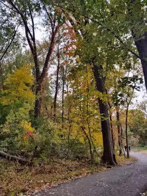 Waterfall Loop Trail - Dearborn,