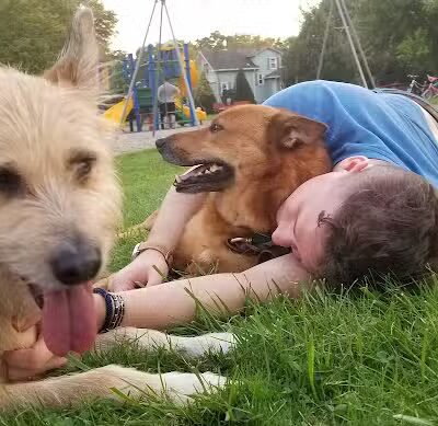 Oxford Park - Dearborn,