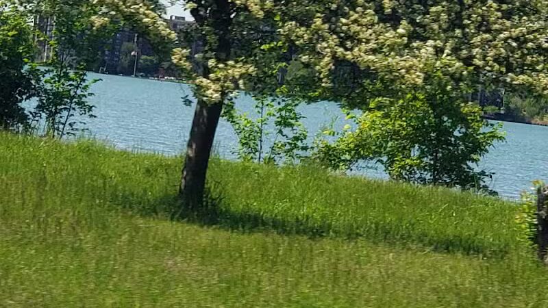 Oxford Park - Dearborn,