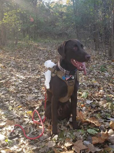 Parkway Trail - Dearborn,