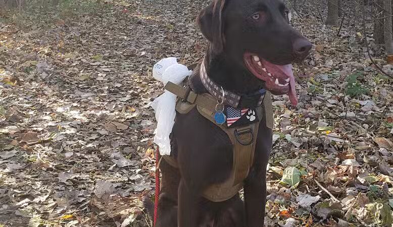 Parkway Trail - Dearborn,