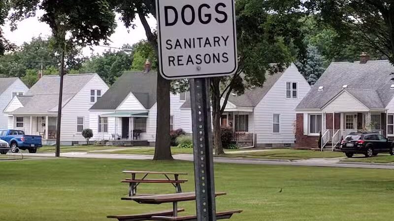 Summer Stephens Park - Dearborn,