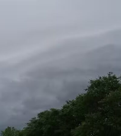 Summer Stephens Park - Dearborn,