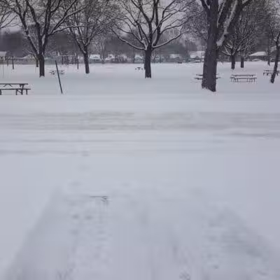 Summer Stephens Park - Dearborn,