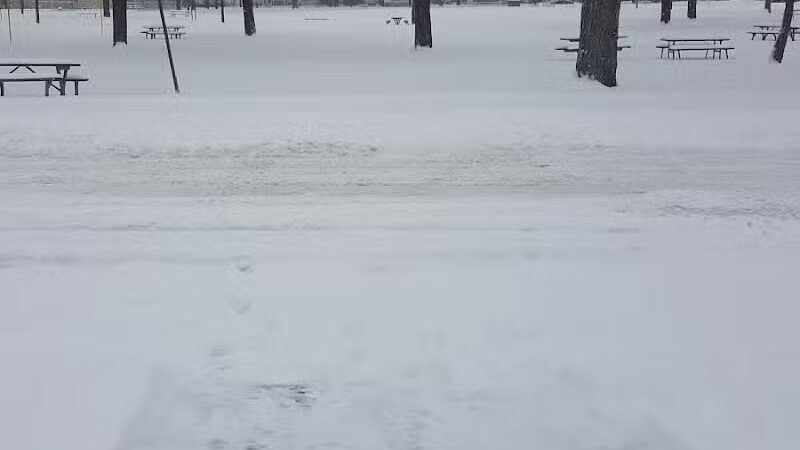 Summer Stephens Park - Dearborn,