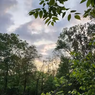 Waterfall Loop Trail - Dearborn,