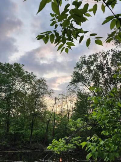 Waterfall Loop Trail - Dearborn,