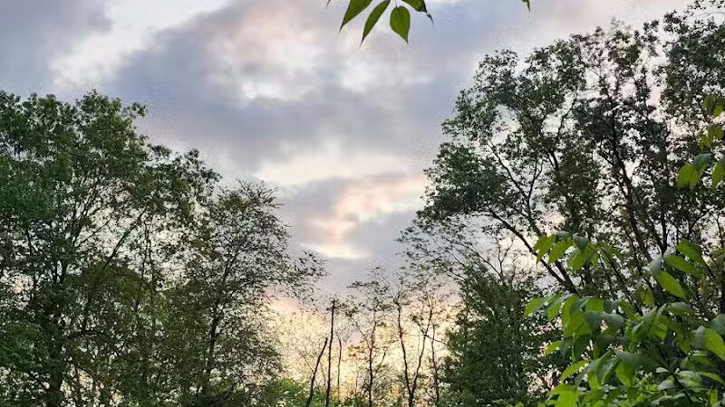 Waterfall Loop Trail - Dearborn,