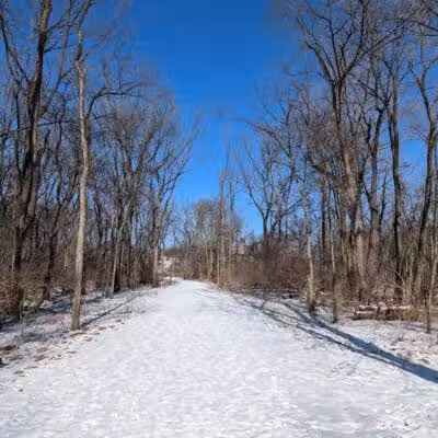 Waterfall Loop Trail - Dearborn,