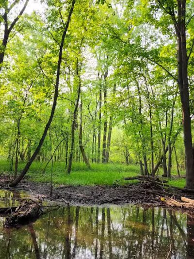 Waterfall Loop Trail - Dearborn,