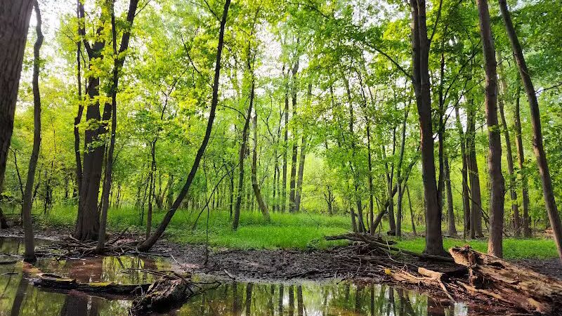 Waterfall Loop Trail - Dearborn,