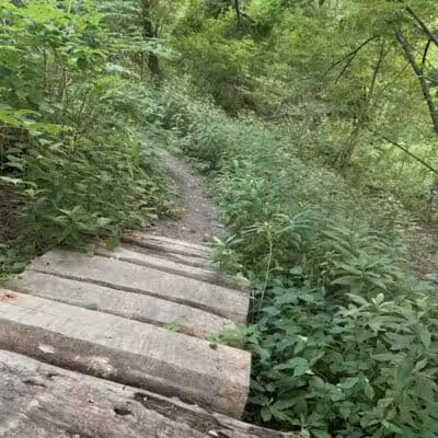 Waterfall Loop Trail - Dearborn,