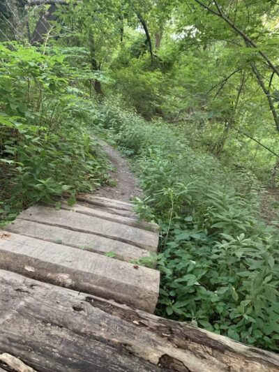 Waterfall Loop Trail - Dearborn,