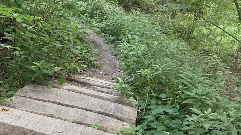 Waterfall Loop Trail - Dearborn,