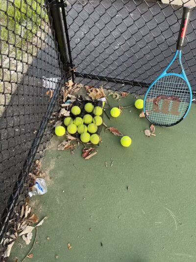 Westwood-Ross Park - Dearborn,