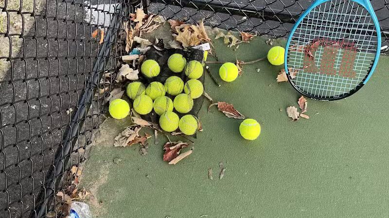 Westwood-Ross Park - Dearborn,