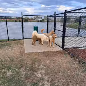 Dog park - Decatur, AL