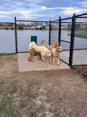 Dog park - Decatur, AL