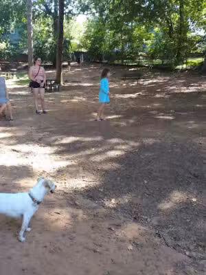 Adair Dog Park - Decatur, GA