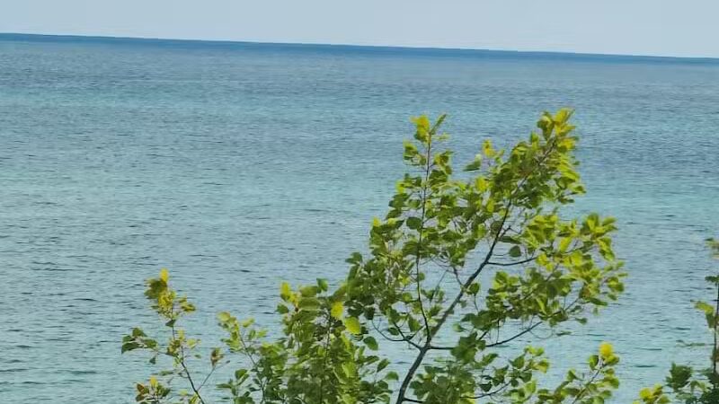 Rest Stop And Beach - Deckerville,