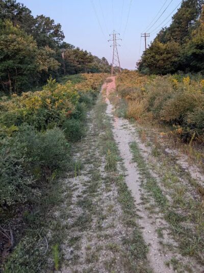 Edgewood Oak Brush Plains Preserve - Deer Park, NY