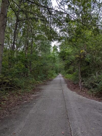 Edgewood Oak Brush Plains Preserve - Deer Park, NY