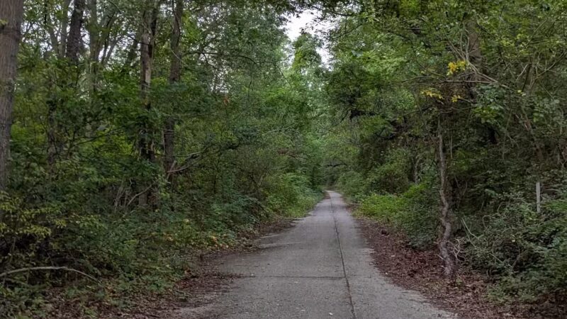 Edgewood Oak Brush Plains Preserve - Deer Park, NY