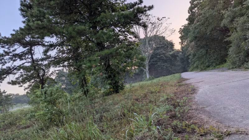 Edgewood Oak Brush Plains Preserve - Deer Park, NY