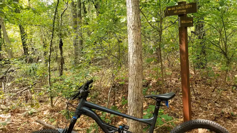 Edgewood Oak Brush Plains Preserve - Deer Park, NY