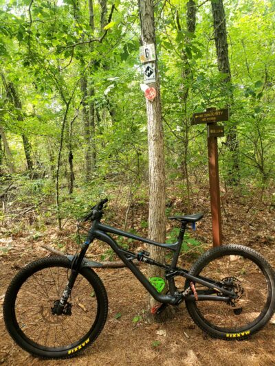 Edgewood Oak Brush Plains Preserve - Deer Park, NY