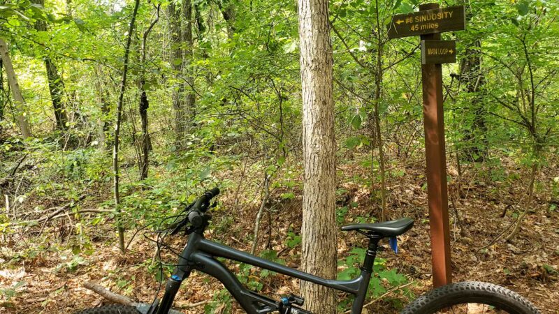 Edgewood Oak Brush Plains Preserve - Deer Park, NY