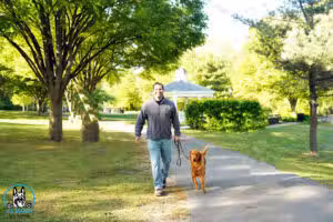 K9 Mania Dog Training - Deer Park, NY