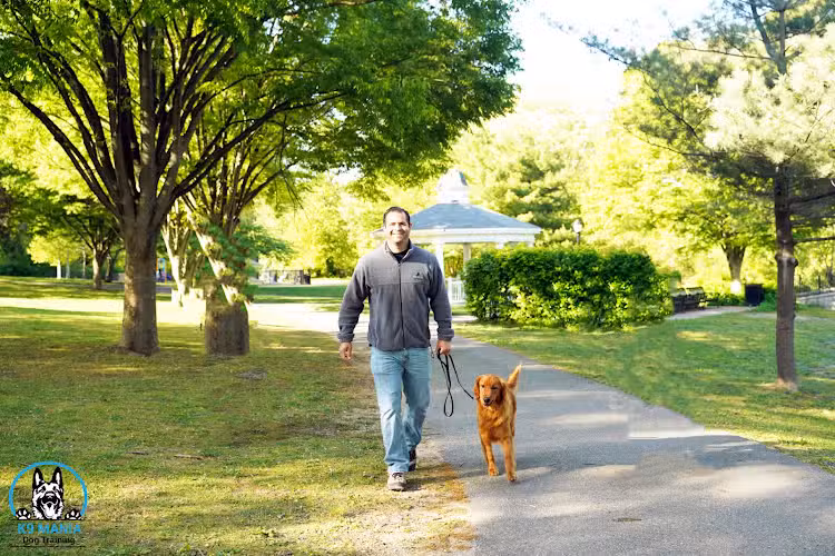 K9 Mania Dog Training - Deer Park, NY