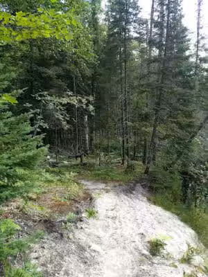 Tyoga Trail - Deerton,