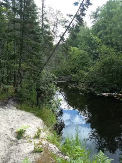 Tyoga Trail - Deerton,