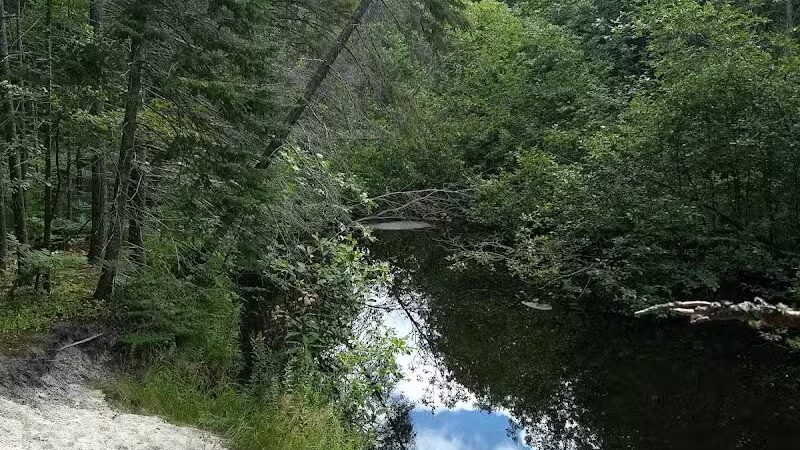 Tyoga Trail - Deerton,