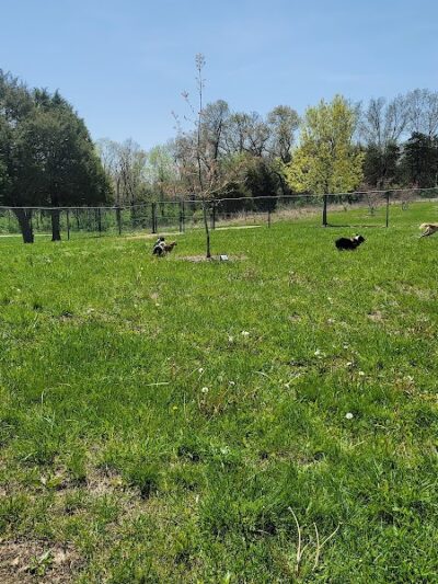 Broemmelsiek Park Off-Leash Dog Area - Defiance, MO