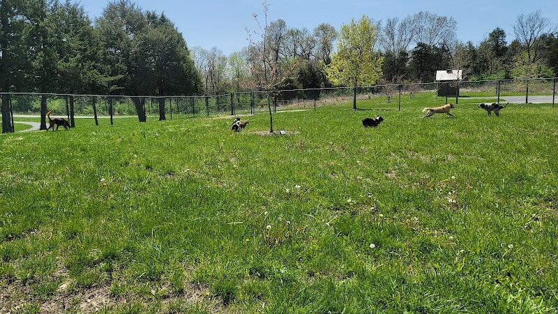 Broemmelsiek Park Off-Leash Dog Area - Defiance, MO