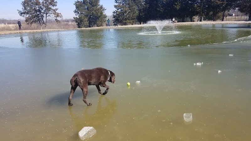 Broemmelsiek Park Off-Leash Dog Area - Defiance, MO
