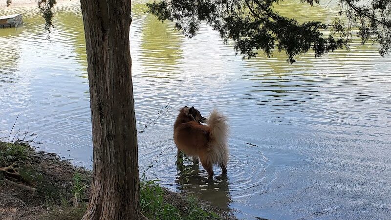 Broemmelsiek Park Off-Leash Dog Area - Defiance, MO
