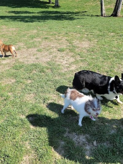 Broemmelsiek Park Off-Leash Dog Area - Defiance, MO
